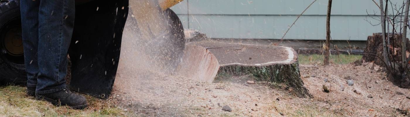 Stump Grinding
