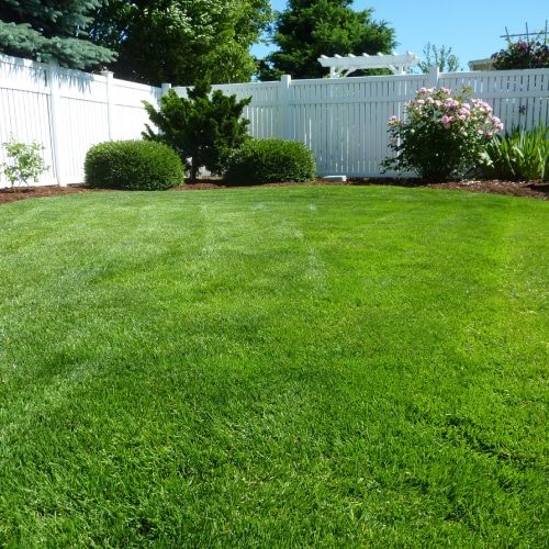Lawn Care