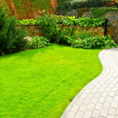 Landscaping